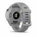 Forerunner 255S Gris polvo